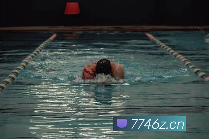 乐鱼网页登录官网平台生态图